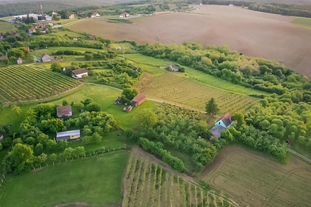 Village Wine House Mandicevac ภายนอก รูปภาพ