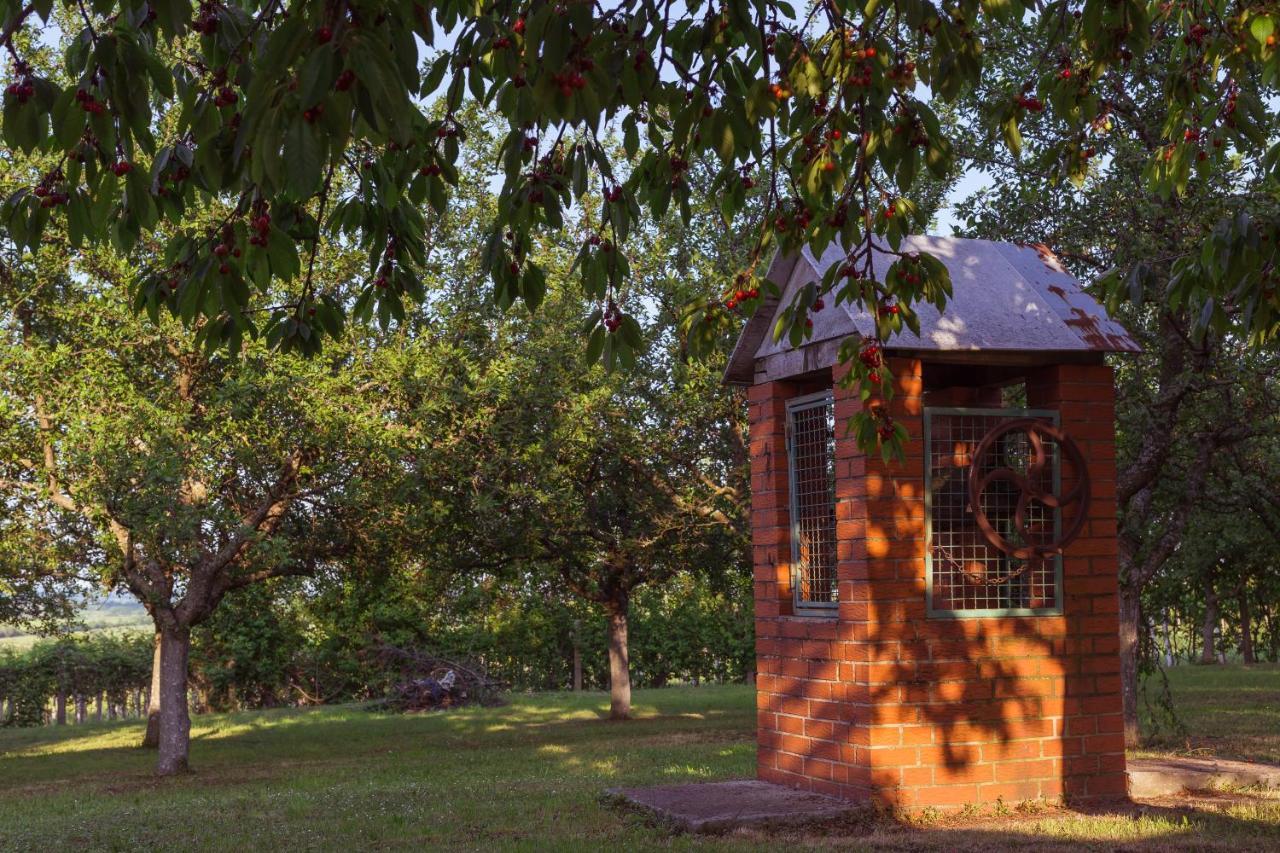 Village Wine House Mandicevac ภายนอก รูปภาพ