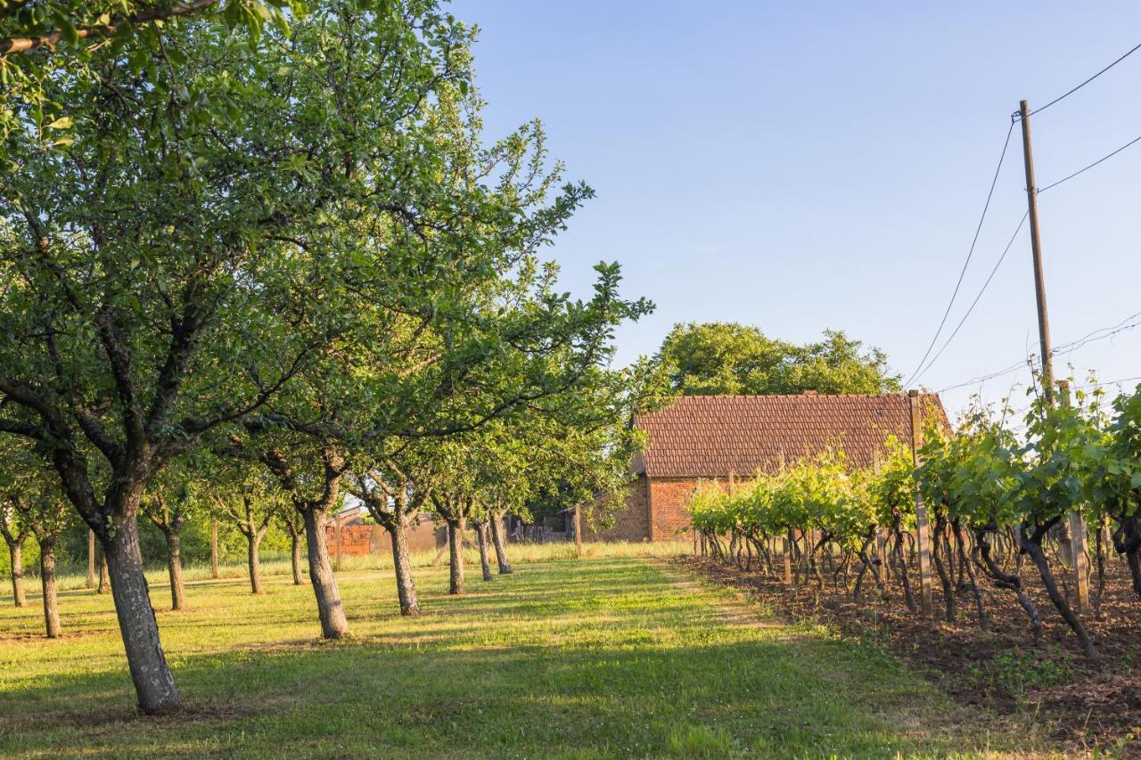 Village Wine House Mandicevac ภายนอก รูปภาพ