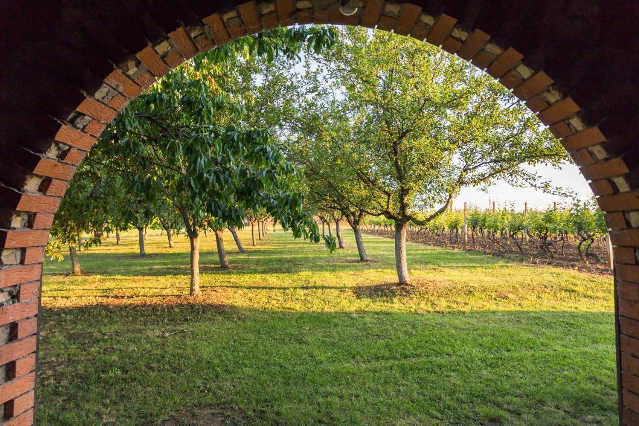 Village Wine House Mandicevac ภายนอก รูปภาพ