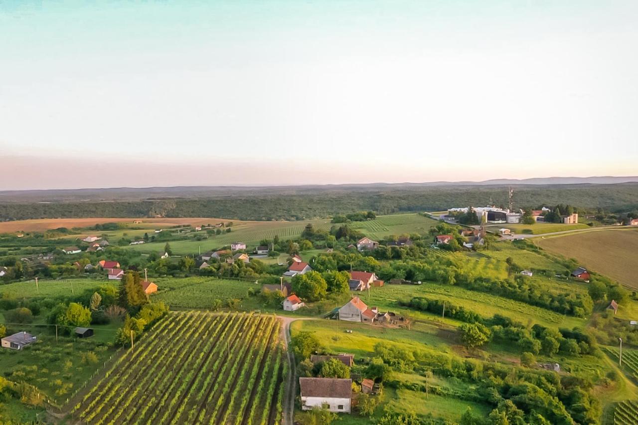 Village Wine House Mandicevac ภายนอก รูปภาพ