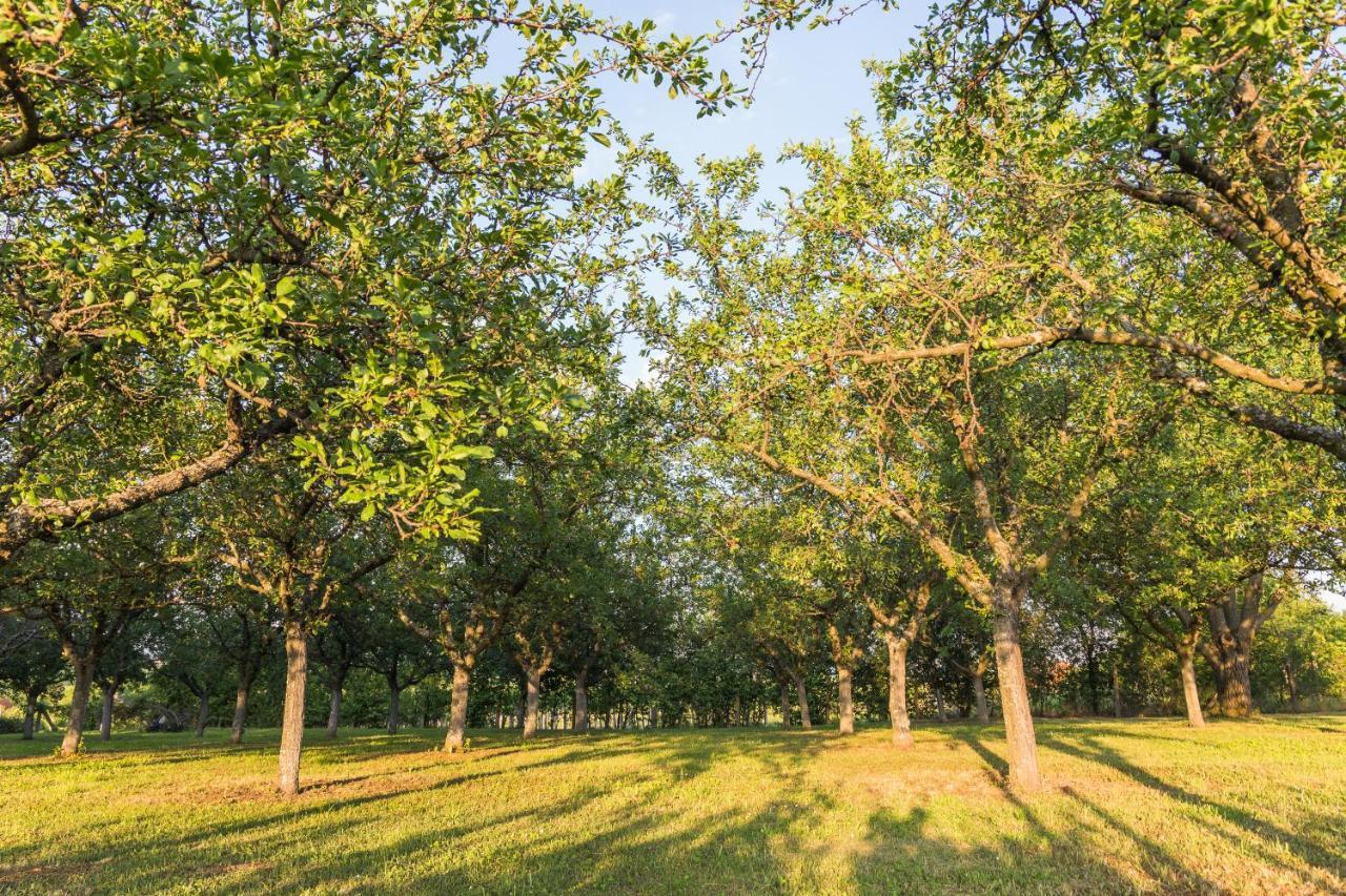 Village Wine House Mandicevac ภายนอก รูปภาพ