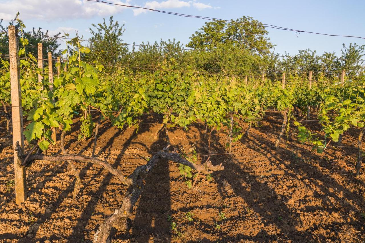 Village Wine House Mandicevac ภายนอก รูปภาพ