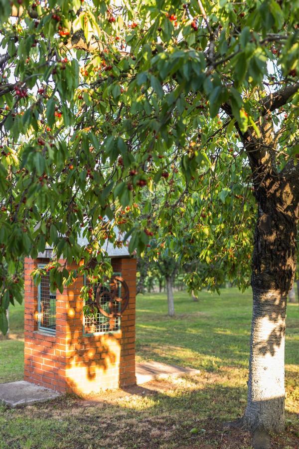 Village Wine House Mandicevac ภายนอก รูปภาพ