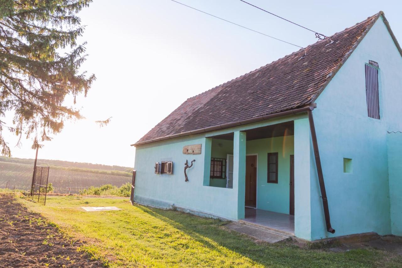 Village Wine House Mandicevac ภายนอก รูปภาพ