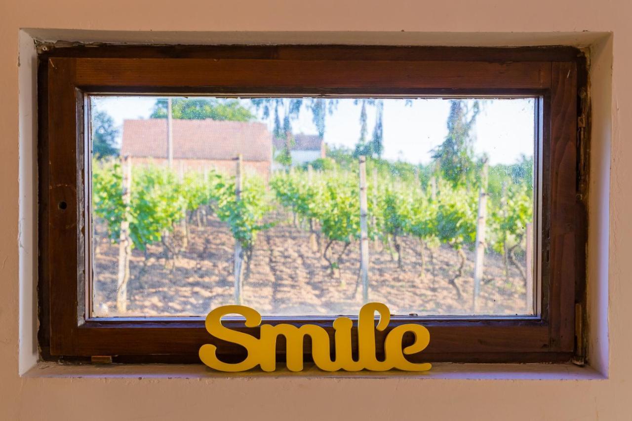 Village Wine House Mandicevac ภายนอก รูปภาพ