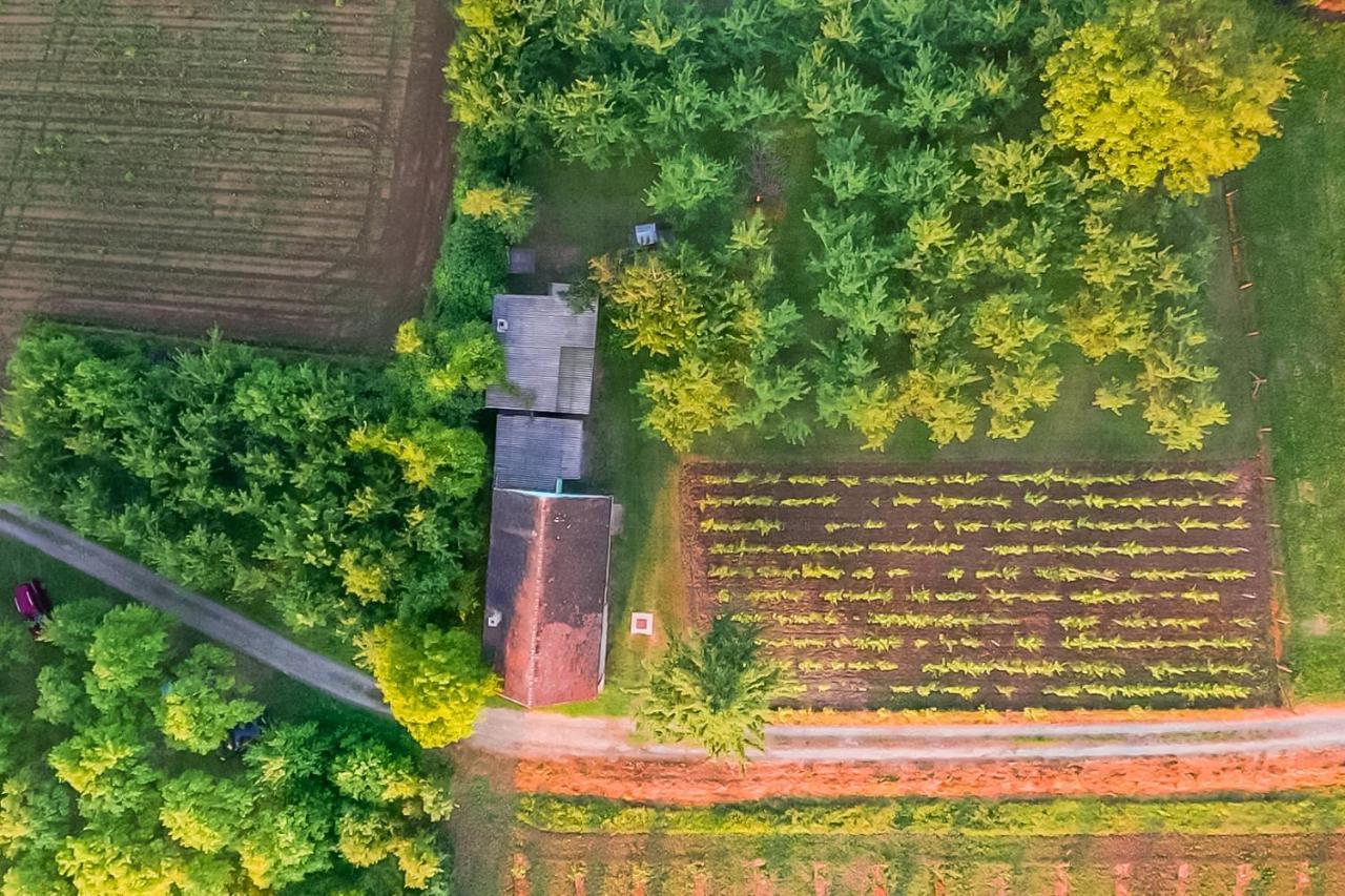 Village Wine House Mandicevac ภายนอก รูปภาพ