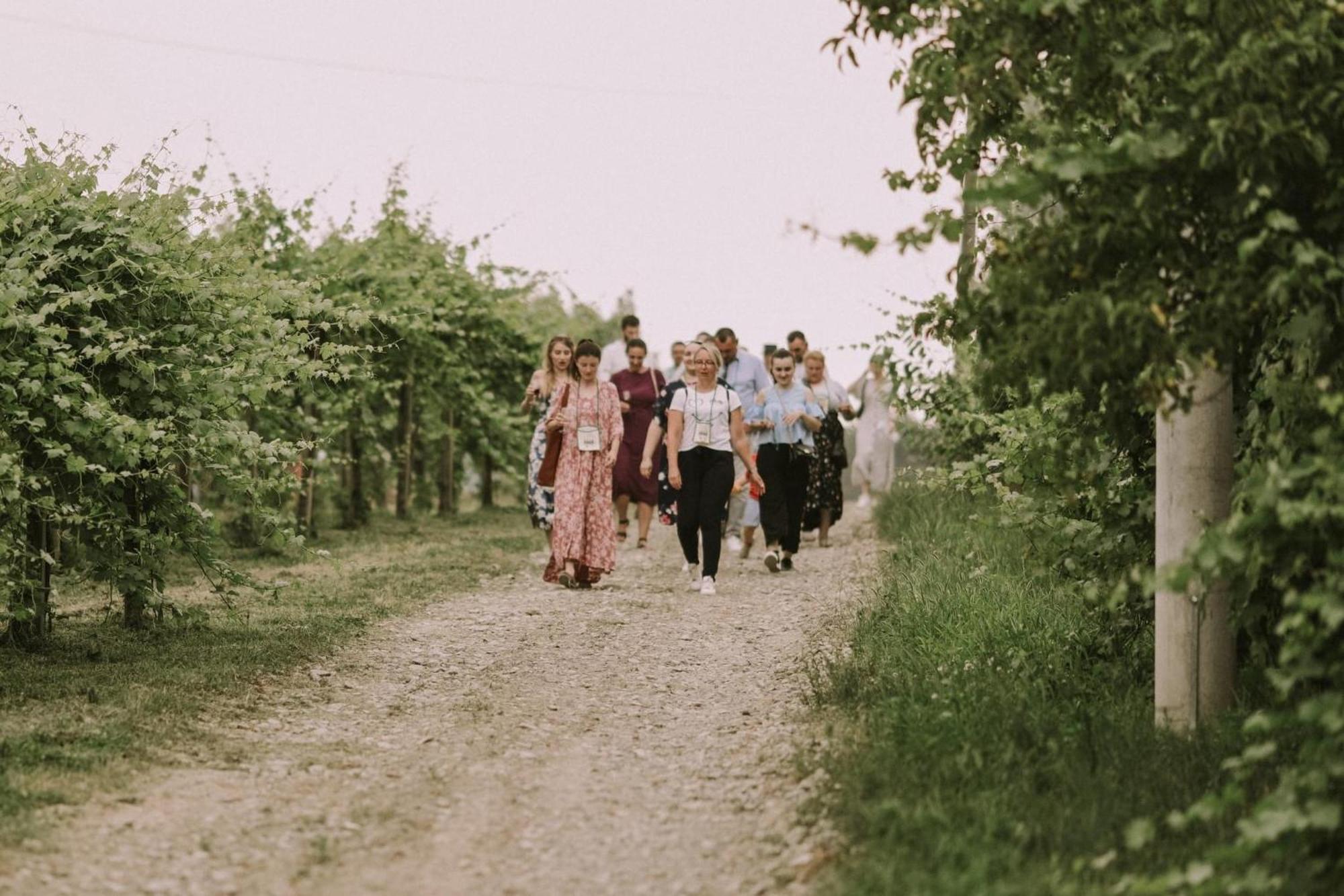 Village Wine House Mandicevac ภายนอก รูปภาพ